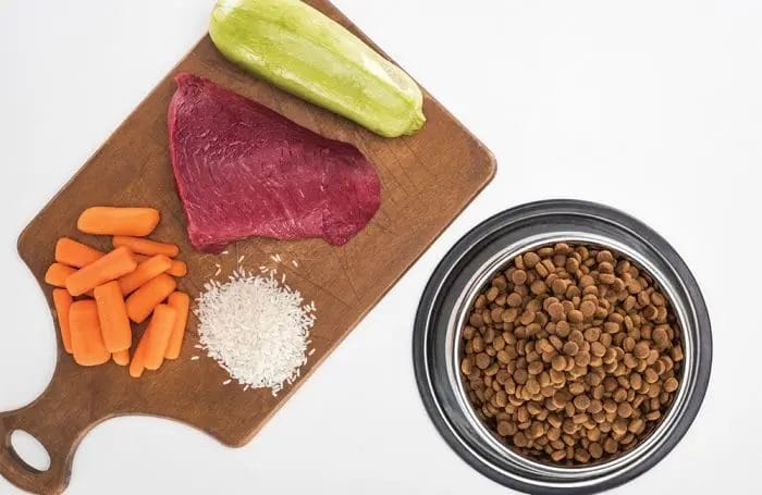 Pet-food-ingredients-and-kibble.jpg