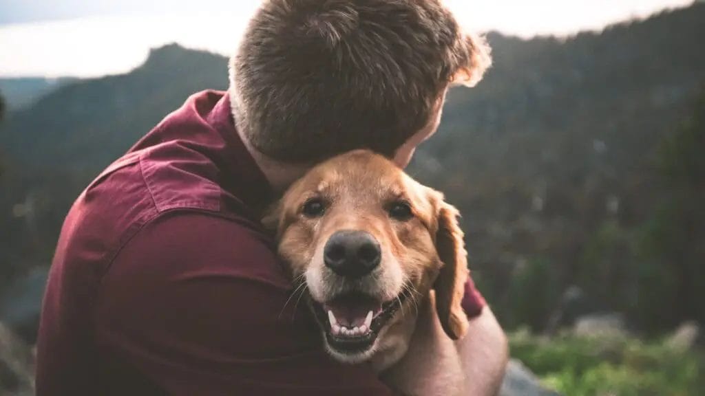 dog love