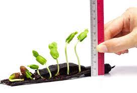 shrink to grow